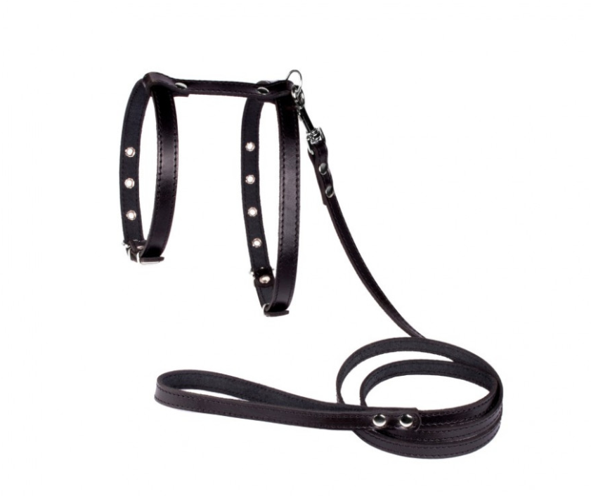 Шлейка та поводок для невеликих порід собак "Lockdog", фото 1