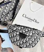 Сумка Dior Bumbag Grey