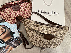 Сумка Dior Bumbag бежева