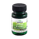 Екстракт Мумійо Swanson Shilajit Extract, 100 mg, 30 Veggie Caps, фото 3