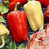 Перець солодкий Барбі F1 8 насіння Syngenta, фото 2