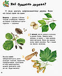 Дитяча енциклопедія про ліс 614016 для дошкільнят, 32 сторінки, вивчаємо природу, фото 3