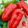 Перець Іспанський червоний 20 шт СЦ Service plus, фото 3