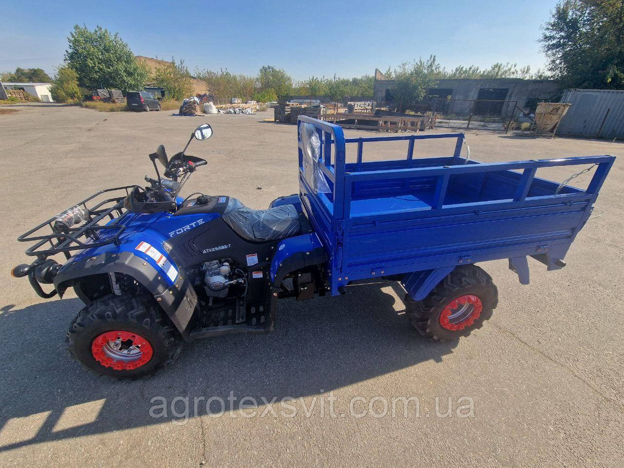 Квадроцикл Вантажний FORTE ATV-250BS-T