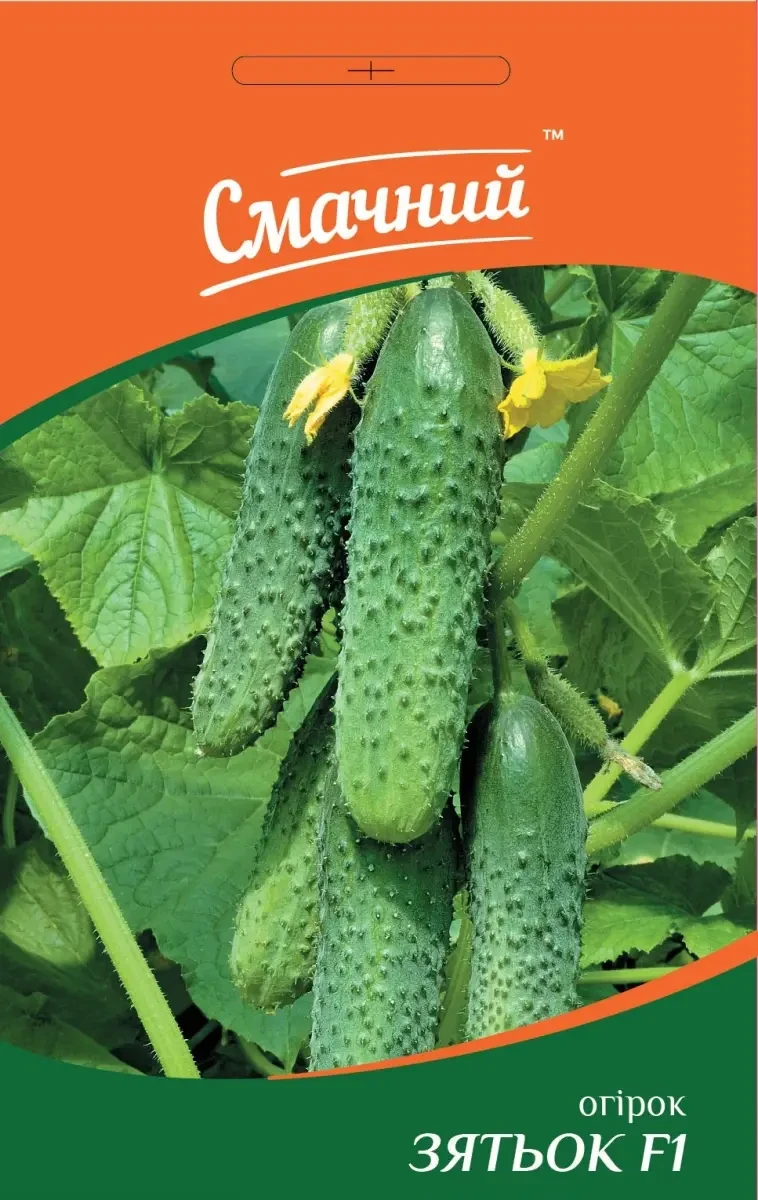 Огірок Зятьок F1 1 г, ТМ Смачний, фото 1