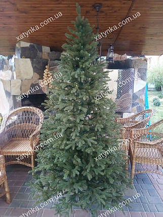 Лита Смерека 2.10 м., фото 1