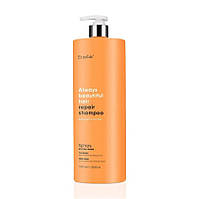 Erayba ABH Шампунь для пошкодженного волосся Repair 1000мл