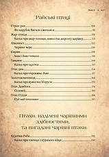 Книга «Чарівний звірослов українського міфу. Птахи». Автор - Дара Корній, фото 4