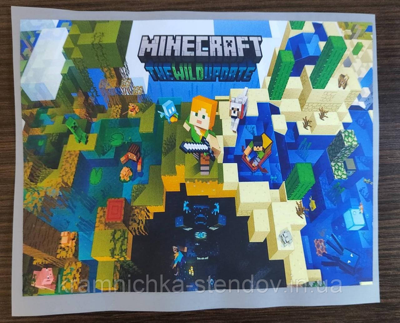 Термонаклейка на одяг, фото 1