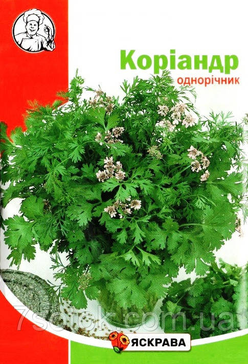 Насіння коріандру, ТМ Яскрава, 10г