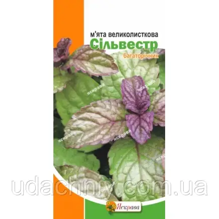 М'ята Сільвестр 0.05 г