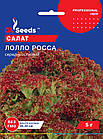 Салат Лолло Росса рожевий (без гіркоти) 5 г, фото 2