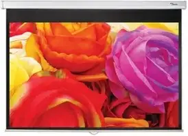 Проєкційний екран Optoma Ds-1095Pmg+
