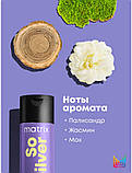 Шампунь Matrix Total Results So Silver Color Obsessed  для нейтрализації жовтизни волосся, 300 мл, фото 5