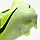 Бутсы Nike Phantom GX II Elite FG (арт. FJ2559-003), фото 10