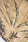 Журнальний столик Nariko bamboo D58X40H, фото 5