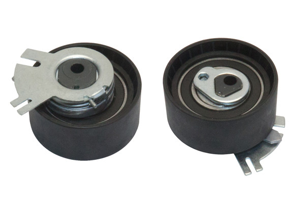 Ролик натяжний ГРМ Renault 2,2 DCi (G9T) 2,5 DCi (G9U) GP F-237843