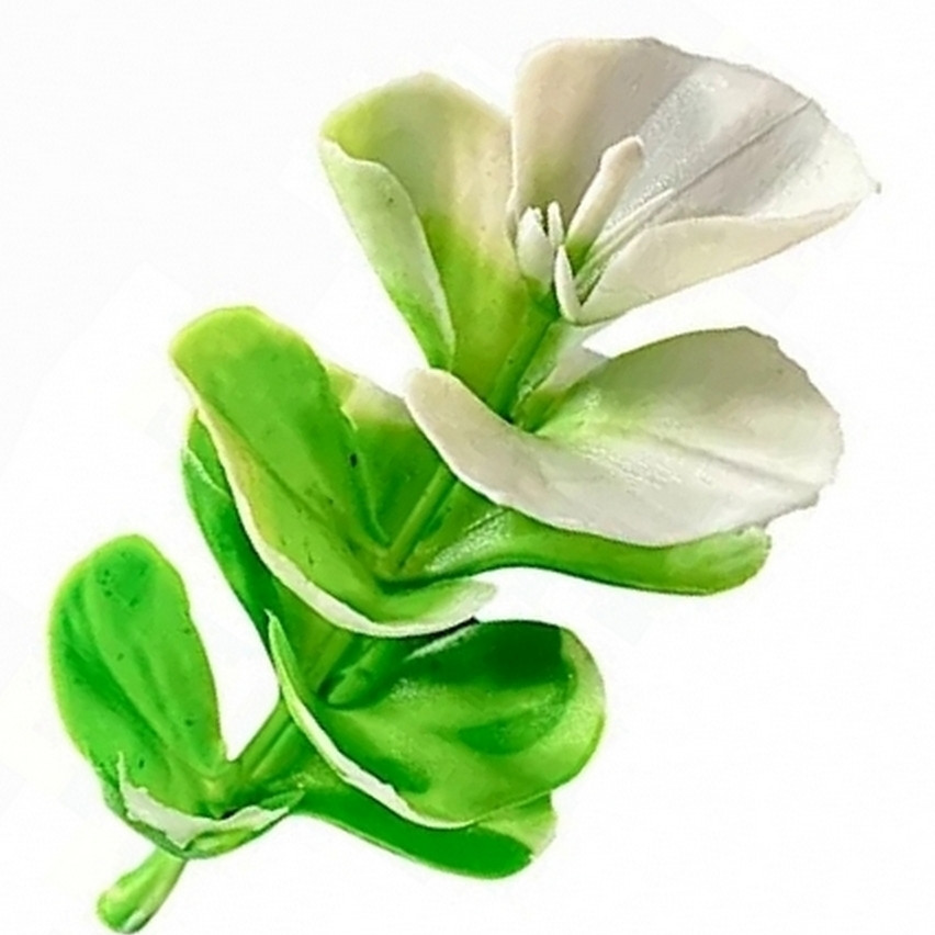 Домішка водорості світлі 8 см за 100 шт., фото 1