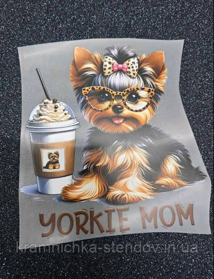 Термонаклейка на одяг, фото 1