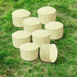 Технопланктон