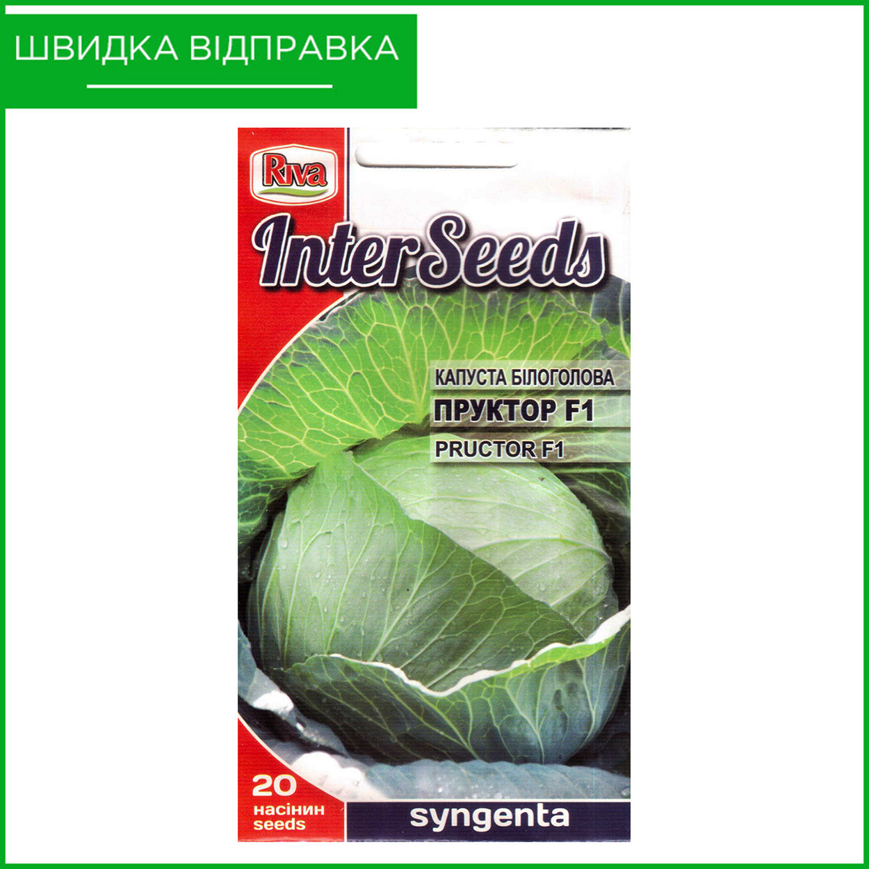 «Пруктор» F1, 20 шт. Насіння капусти білоголової від Syngenta, Голландія