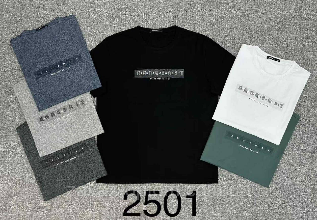 Футболка чоловіча оптом (XL-5XL) Китай 2501-130455