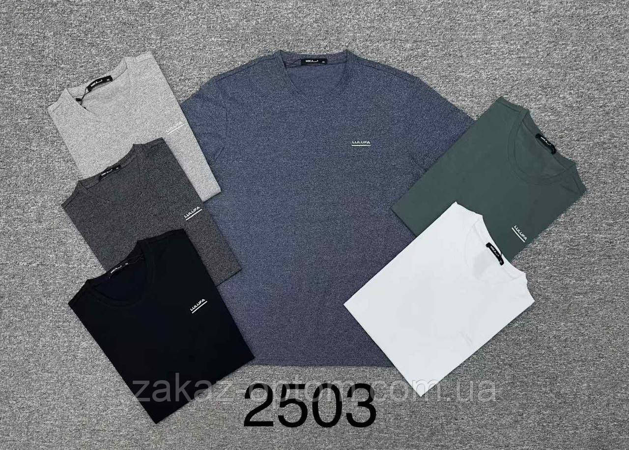 Футболка чоловіча оптом (XL-5XL) Китай 2503-130457