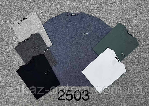 Футболка чоловіча оптом (XL-5XL) Китай 2503-130457, фото 1