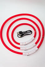 Нашийники, що світяться для собак