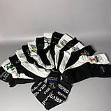 КПодарунковий бокс шкарпеток чоловічих довгих бавовняних весна осінь із патріотичним принтом 41-45 21 шт для хлопця Br BAR, фото 9