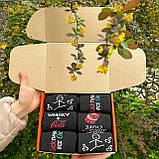 Подарунковий бокс шкарпеток чоловічих високих весна осінь з оригінальним класним принтом 40-45 12 шт для Br BAR, фото 3