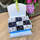 Найкращий набір шкарпеток чоловічих довгих демісезонних демісезонних бавовняних із прикольним принтом Плани Br BAR, фото 7