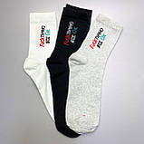 Комплект шкарпеток чоловічих високих весна-осінь повсякденних із крутим написом 40-45 6 пар у подарунковій Br BAR, фото 5