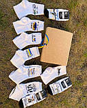 Бокс шкарпеток жіночих високих, коротких демісезонних з патріотичним акцентом 10 шт 36-41 у подарунковій Br BAR, фото 9