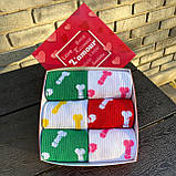 Подарунковий набір шкарпеток для чоловіка яскраві різнобарвні шкарпетки "Цюцюрки" 40-45 р у наборі 6 пар Br BAR, фото 2