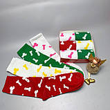 Подарунковий набір шкарпеток для чоловіка яскраві різнобарвні шкарпетки "Цюцюрки" 40-45 р у наборі 6 пар Br BAR, фото 6