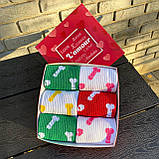 Подарунковий набір шкарпеток для чоловіка яскраві різнобарвні шкарпетки "Цюцюрки" 40-45 р у наборі 6 пар Br BAR, фото 3