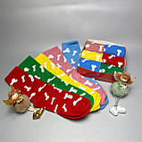 Шкарпетки чоловічі високі спортивні яскраві різнобарвні шкарпетки "Цюцерки" 40-45 р у наборі 6 пар Br BAR, фото 4