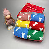 Шкарпетки чоловічі високі спортивні яскраві різнобарвні шкарпетки "Цюцерки" 40-45 р у наборі 6 пар Br BAR, фото 9