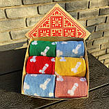 Шкарпетки чоловічі високі спортивні яскраві різнобарвні шкарпетки "Цюцерки" 40-45 р у наборі 6 пар Br BAR, фото 8