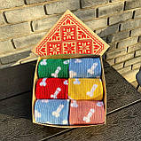 Шкарпетки чоловічі високі спортивні яскраві різнобарвні шкарпетки "Цюцерки" 40-45 р у наборі 6 пар Br BAR, фото 2