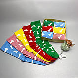 Шкарпетки чоловічі високі спортивні яскраві різнобарвні шкарпетки "Цюцерки" 40-45 р у наборі 6 пар Br BAR, фото 7