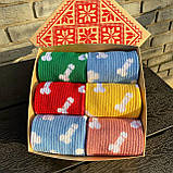 Шкарпетки чоловічі високі спортивні яскраві різнобарвні шкарпетки "Цюцерки" 40-45 р у наборі 6 пар Br BAR, фото 5