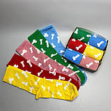 Прикольні чоловічі шкарпетки бокс на 6 пар укотажній коробці яскраві різнобарвні шкарпетки "Цюцюрки" 40-45 Br BAR, фото 6