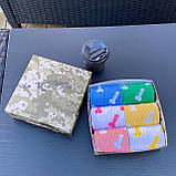 Прикольні чоловічі шкарпетки бокс на 6 пар у коробці яскраві різнобарвні шкарпетки "Цюцюрки" 40-45 р Br BAR, фото 2