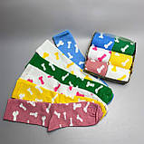 Прикольні чоловічі шкарпетки бокс на 6 пар у коробці яскраві різнобарвні шкарпетки "Цюцюрки" 40-45 р Br BAR, фото 5