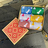 Подарунок чоловікові на свято набір шкарпеток 6 пар 40-45 р "Цюцюрки" прикольні подарунки парню, другу Br BAR, фото 5