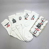 Бокс шкарпеток чоловічих довгих модних весна-осінь із приколом 40-45 5 пар на креативний гарний подарунок Br BAR, фото 4