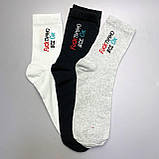 Комплект шкарпеток чоловічих високих демісезонних з оригінальним веселим написом 40-45 6 пар у красивій Br BAR, фото 3
