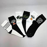Патріотичний набір шкарпеток чоловічих довгих демісезонних демісезонних практичних 6 пар 40-45 у красивій Br BAR, фото 7